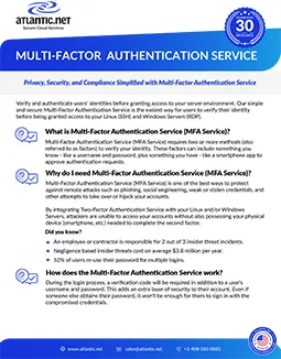 Multi Factor Authentication Service Brochure