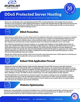 Network Edge Protection Brochure