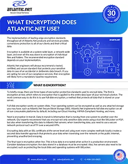 What Encryption Does Brochure