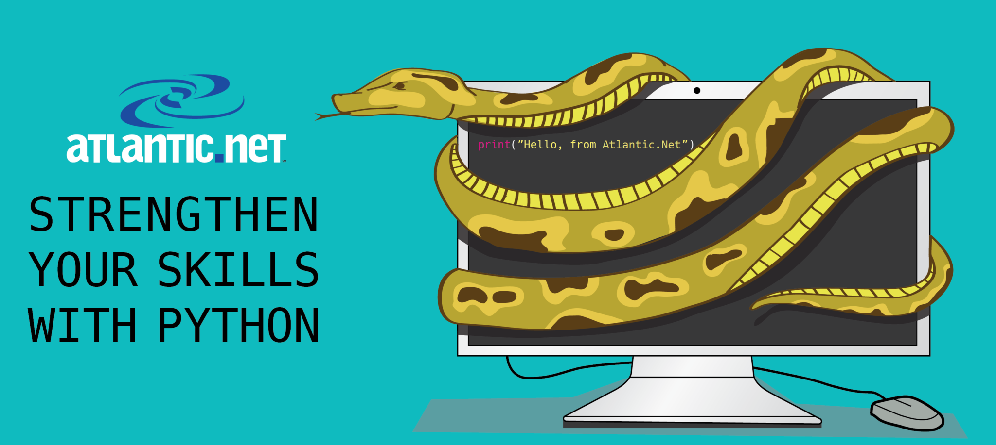 What Is Python: An Intro To A Cross-Platform Programming Language ...